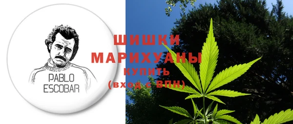 PSILOCYBIN Вяземский