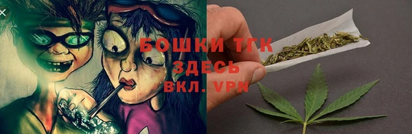 PSILOCYBIN Вяземский