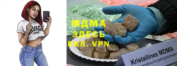 PSILOCYBIN Вяземский