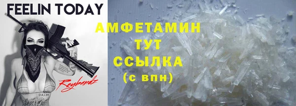 PSILOCYBIN Вяземский