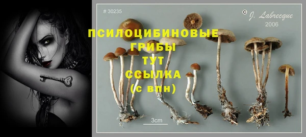 соль ск Вязьма