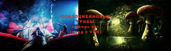 соль ск Вязьма