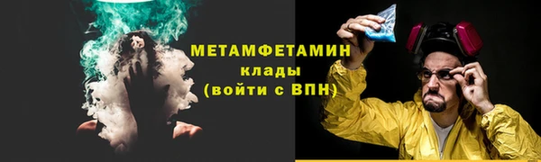 PSILOCYBIN Вяземский
