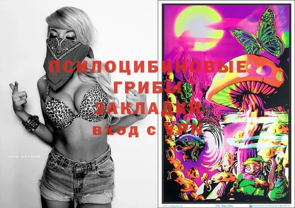 твердый Вязники