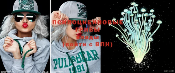 соль ск Вязьма