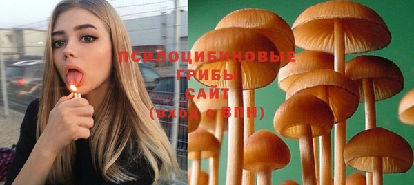 твердый Вязники