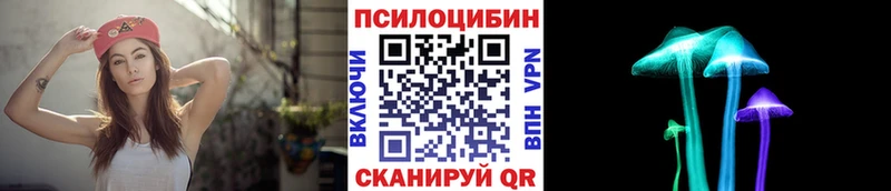 Купить  Олонец  Галлюциногенные грибы ЛСД 